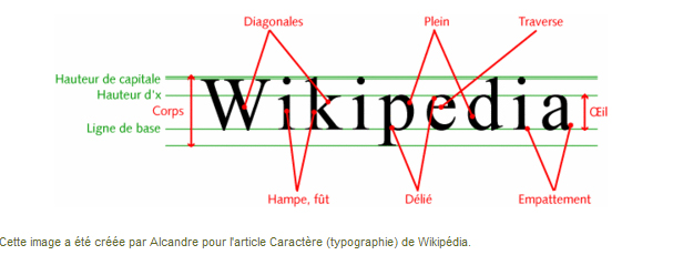 Anatomie de la typographie