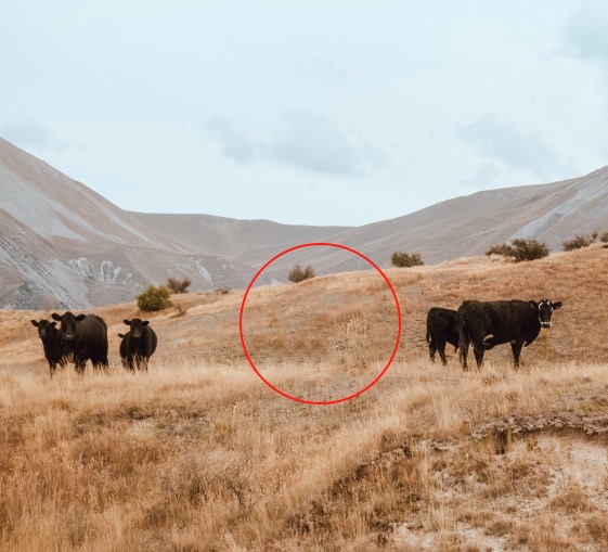 supprimer un élément d'une photo