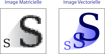 Image matricielle vs image vectorielle 
