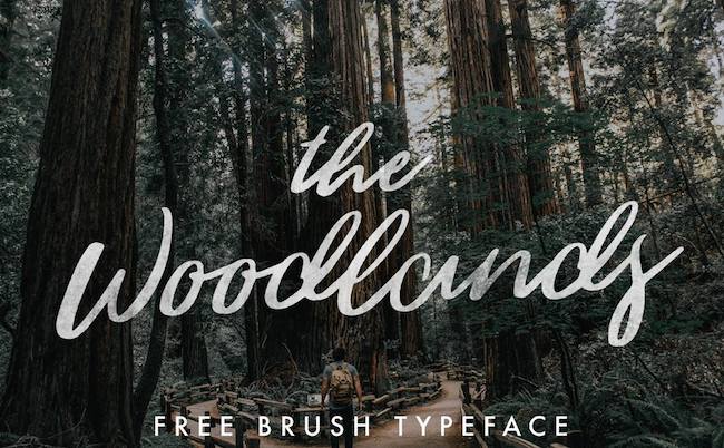 Typographie Woodlands