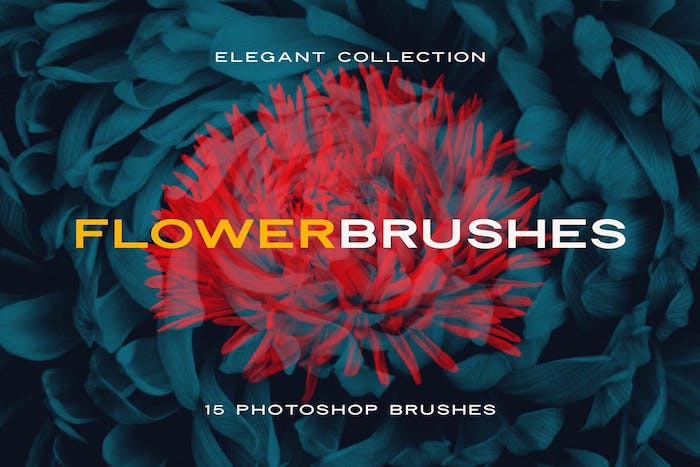Brushes floral