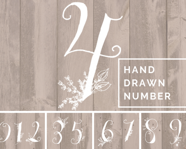 hand nature drawn number typographie pour graphiste