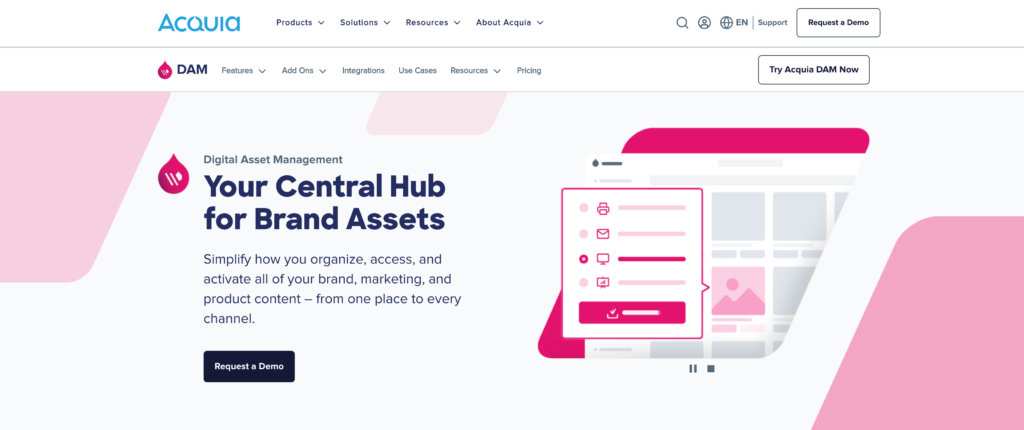 digital asset management