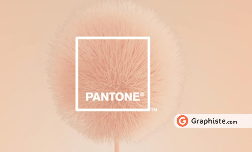 Peach Fuzz La Couleur Pantone De L Ann E Graphiste Blog