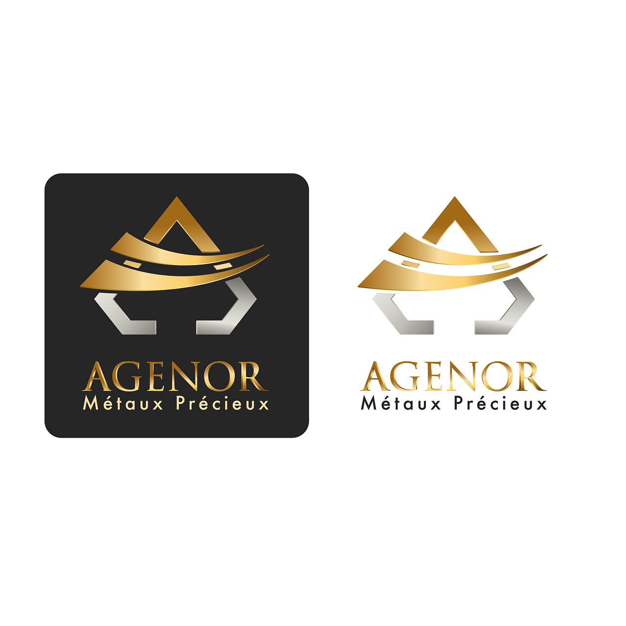 Logo Agenor
