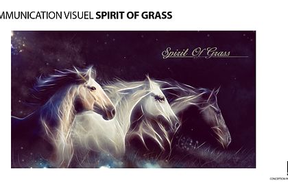 COMMUNICATION VISUELLE SPIRIT OF GRASS
