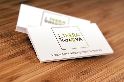 Logo Terra Innova