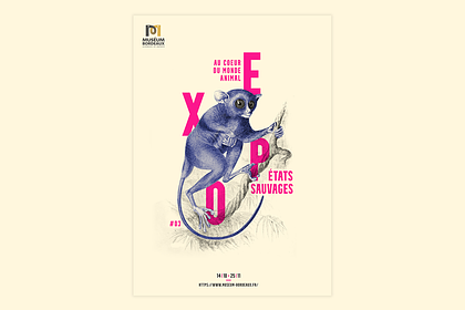 Affiche : Expo Museum
