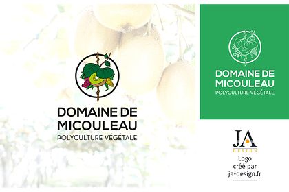 Logo "Domaine de Micouleau"