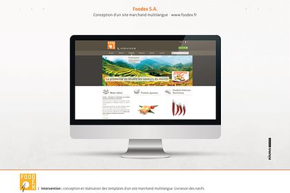 Site marchand multi-langues Foodex
