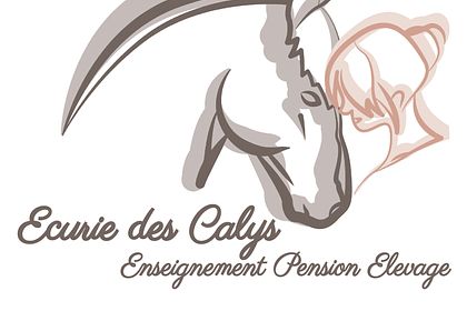Logo d'entreprise "Ecurie des Calys"