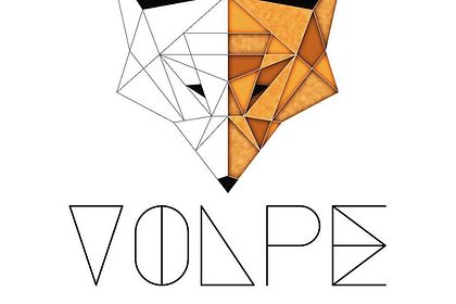 Logo de VOLPE design