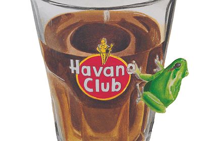 Havana Rana Club