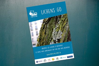 Affiche pour Lichens Go !